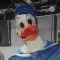 Avatar de Usuario
