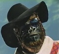 Avatar de Usuario