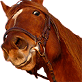 Avatar de Usuario