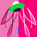 Avatar de Usuario