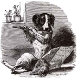 Avatar de Usuario