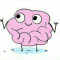 Avatar de Usuario